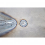 STRONGHAND Магнит тапа за отвори